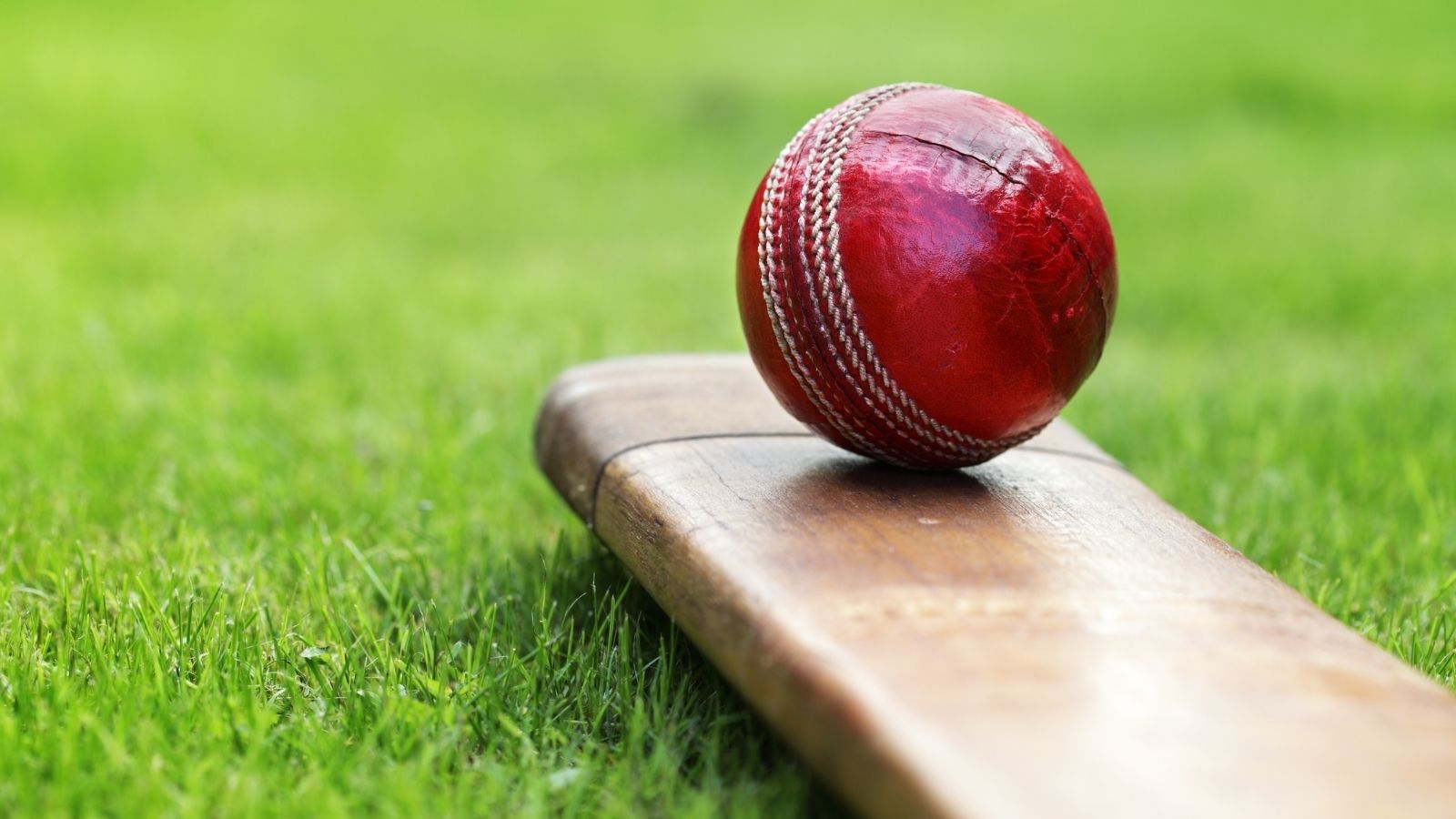 Interesting Cricket Facts to Know! - Tints Of World