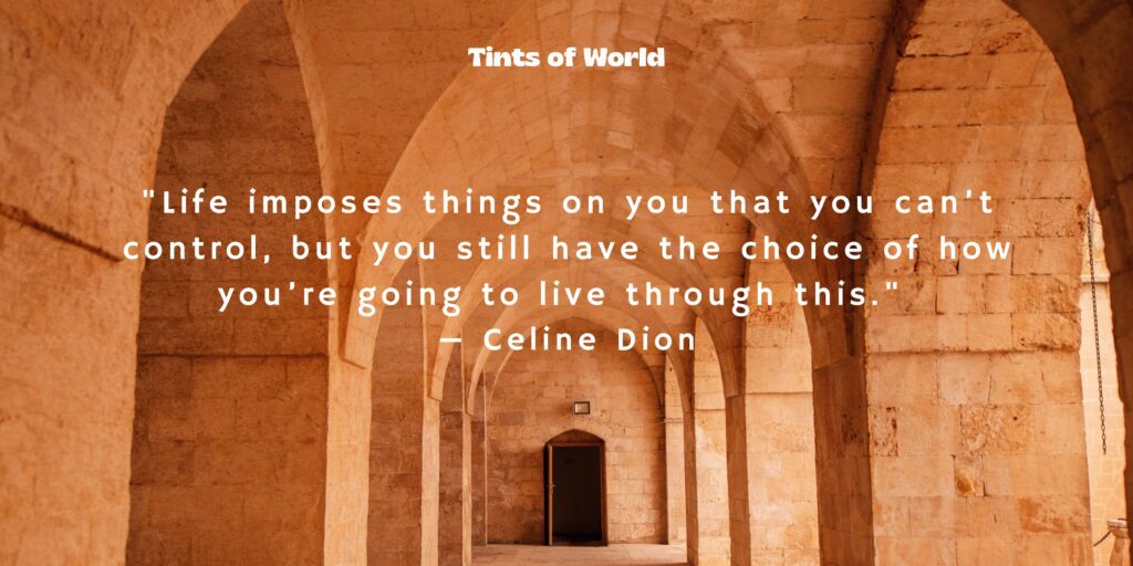 Beautiful Life Quotes by Celine Dion