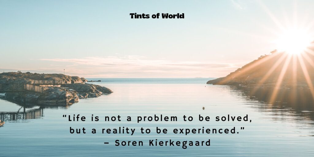 Beautiful Life Quotes by Soren Kierkegaard